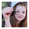 Set Tubi Jelly 3D Bugs
