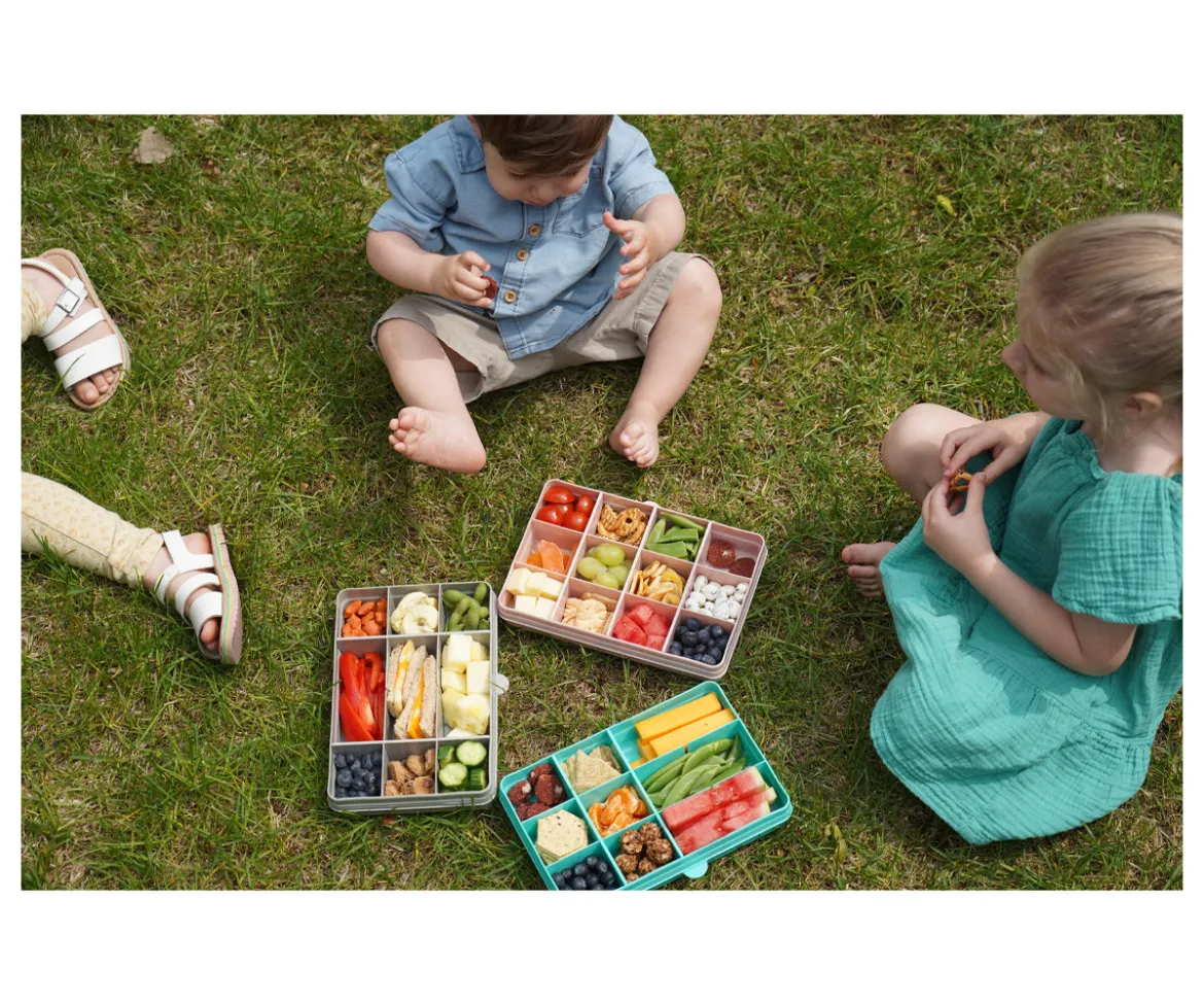 Snackle Box Grey