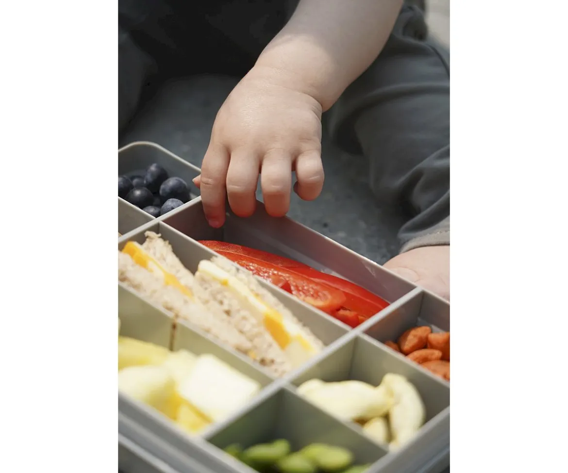 Snackle Box Grey