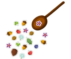Sopa De Bellotas