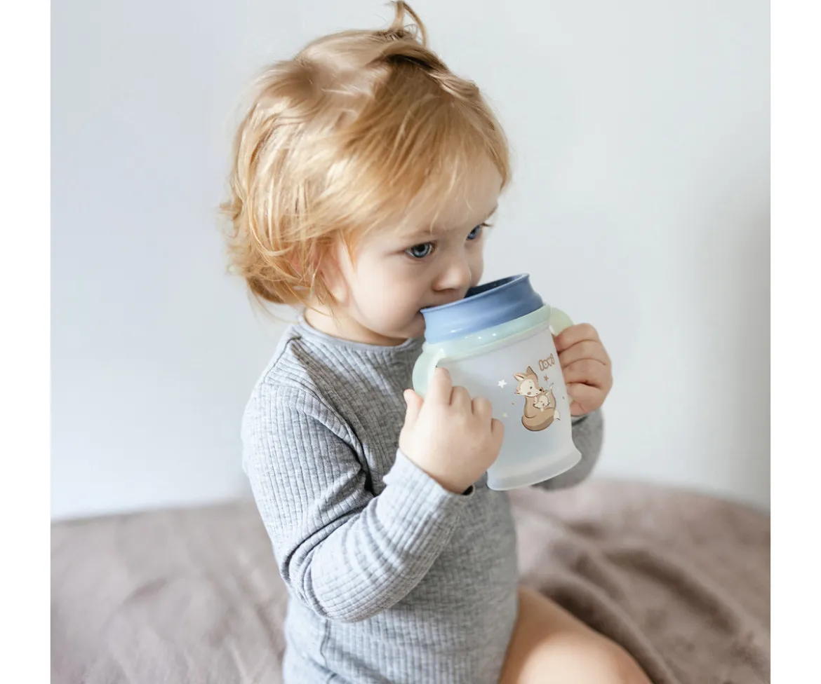 Taza 360º Night & Day Fox