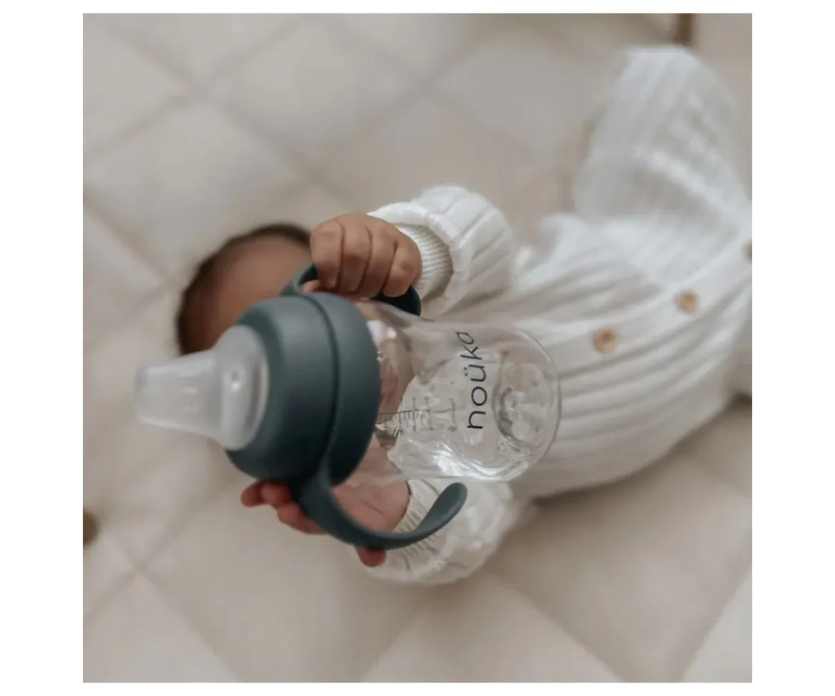 Taza Soft Spout 240ml Fern