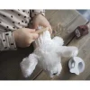 Transportín con Perro