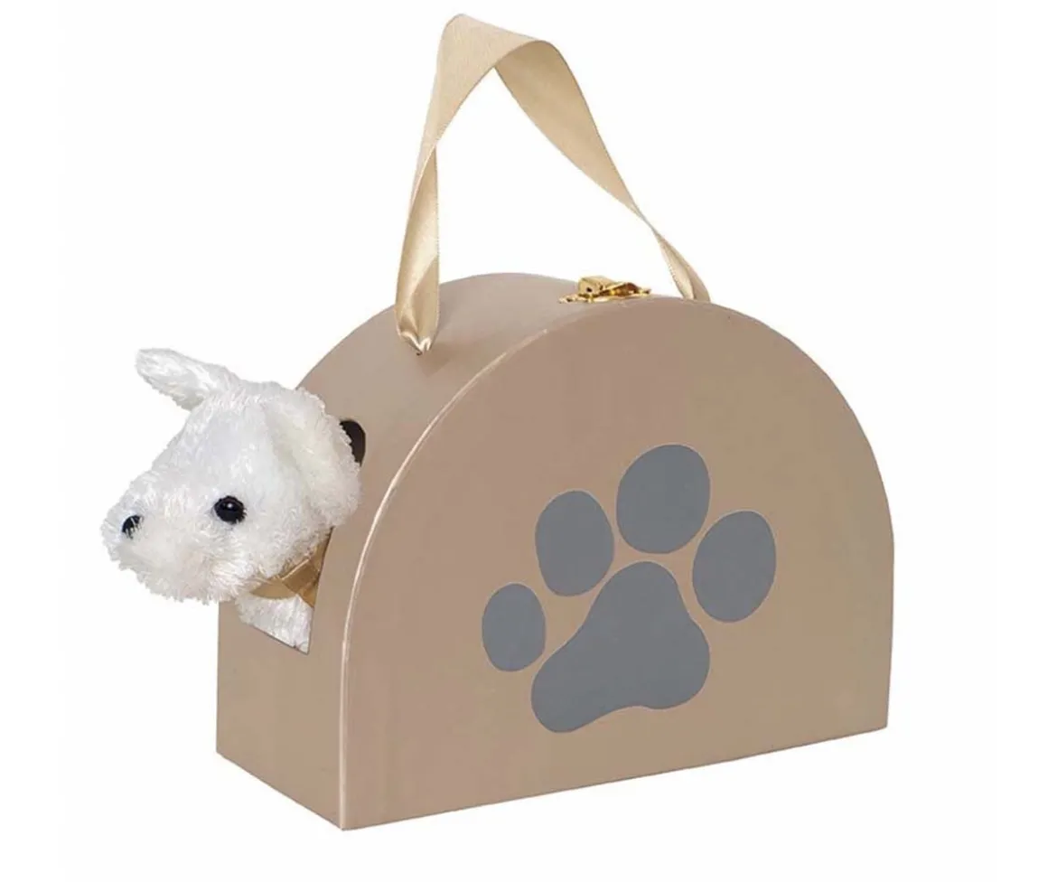 Transportín con Perro