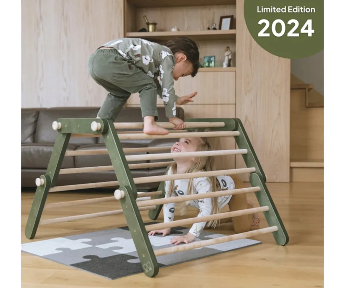 Triángulo FIPITRI Modifiable Climbing Frame Green Edición Limitada 2024