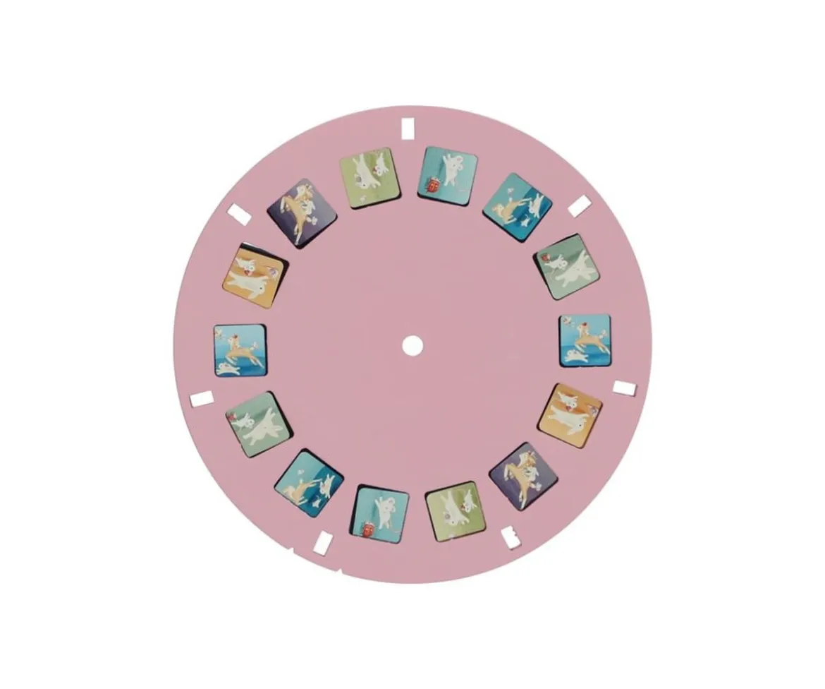 Visor de Historias Fairy Garden